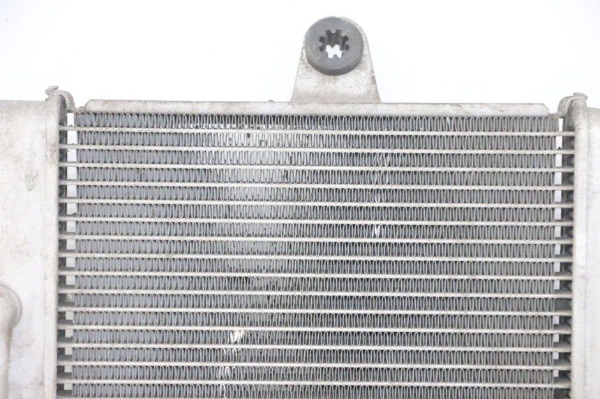 photo de RADIATORE HONDA FORZA ABS 300 (2013 - 2019)