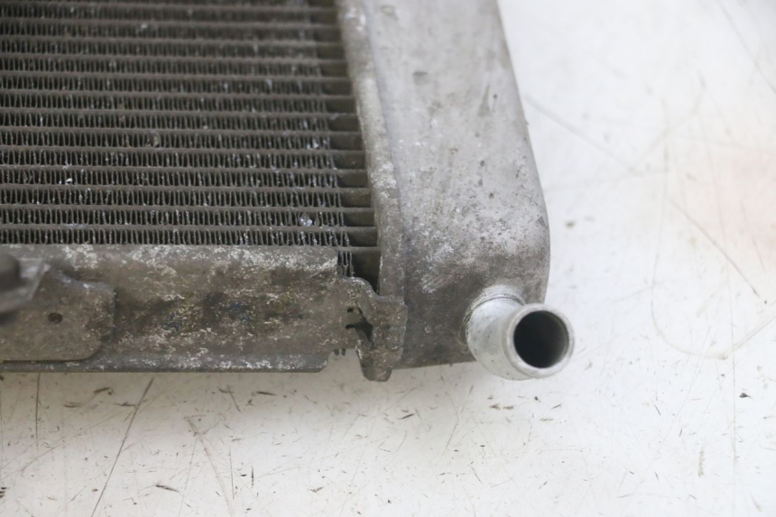 photo de RADIATORE HONDA FORZA ABS 300 (2013 - 2019)