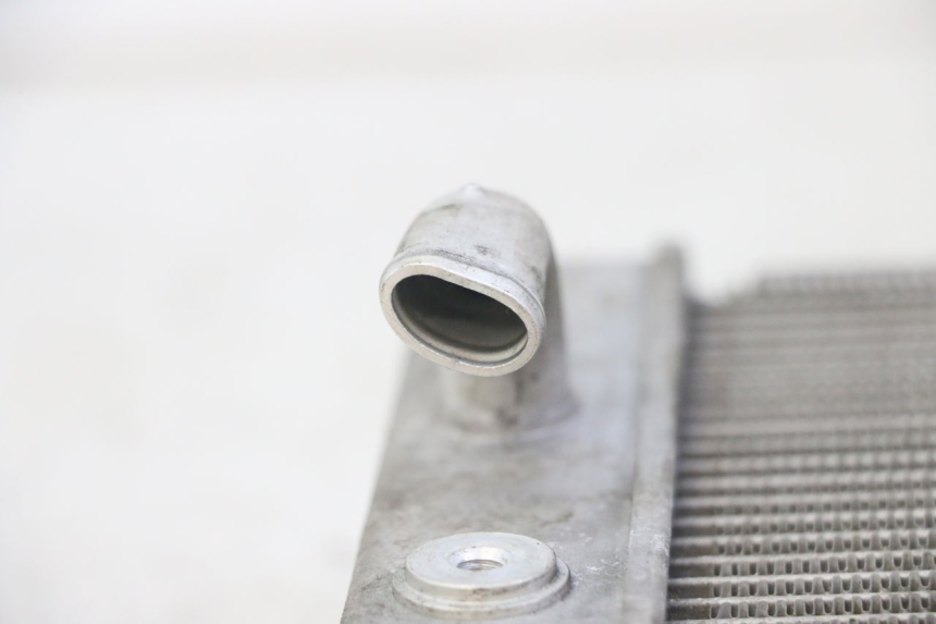 photo de RADIATORE HONDA FORZA ABS 300 (2013 - 2019)