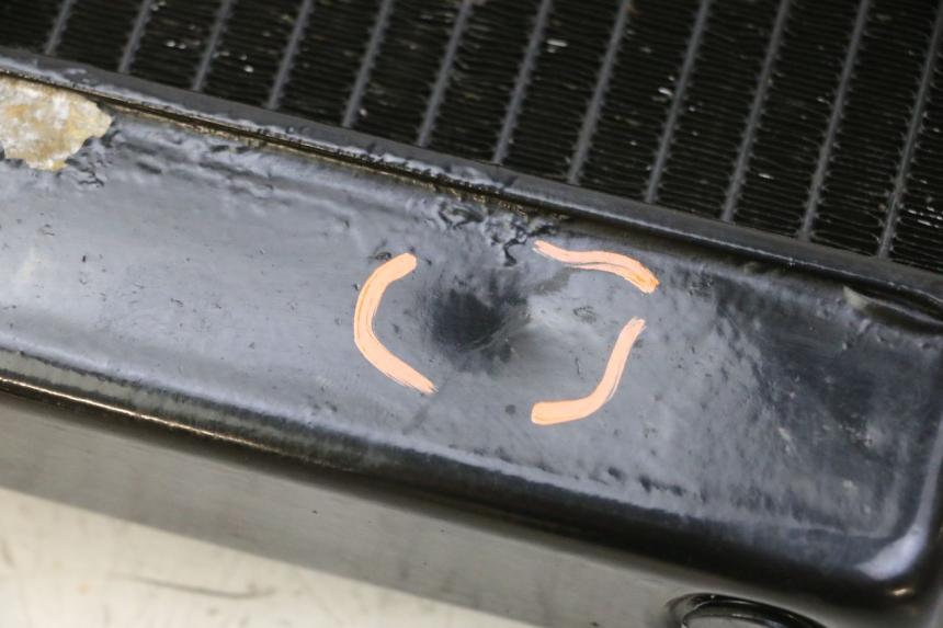 photo de RADIATORE YAMAHA FZ6 N FAZER 600 (2004 - 2006)