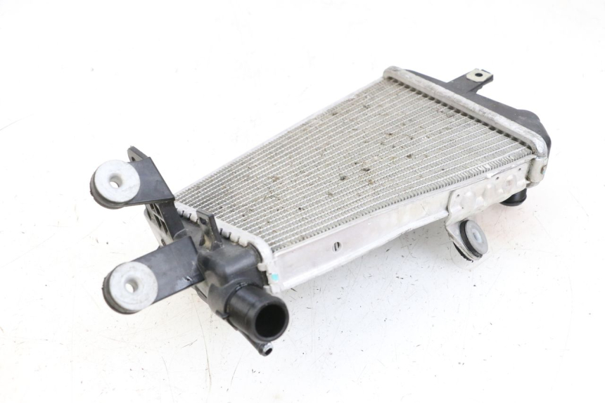 photo de RADIATORE SINISTRA BMW R GS 1250 (2021 - 2024) - Dettaglio del componente