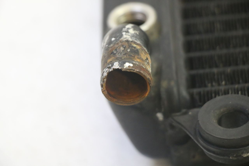 photo de RADIATORE KAWASAKI GPX R WARBIRD 600 (1988 - 1993) - Primo piano tecnico