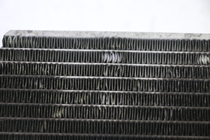 photo de RADIATORE KYMCO GRAND DINK 125 (2008 - 2014)