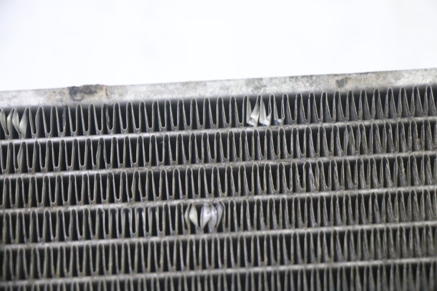 photo de RADIATORE KYMCO GRAND DINK 125 (2002 - 2007)