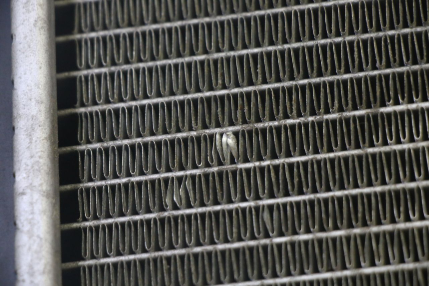 photo de RADIATORE KYMCO GRAND DINK 125 (2002 - 2007)