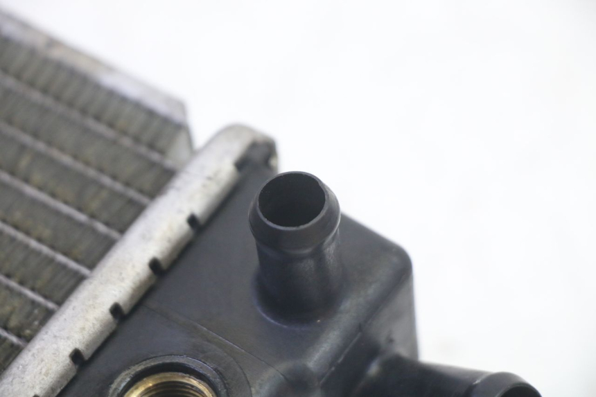 photo de RADIATORE KYMCO GRAND DINK 125 (2002 - 2007)