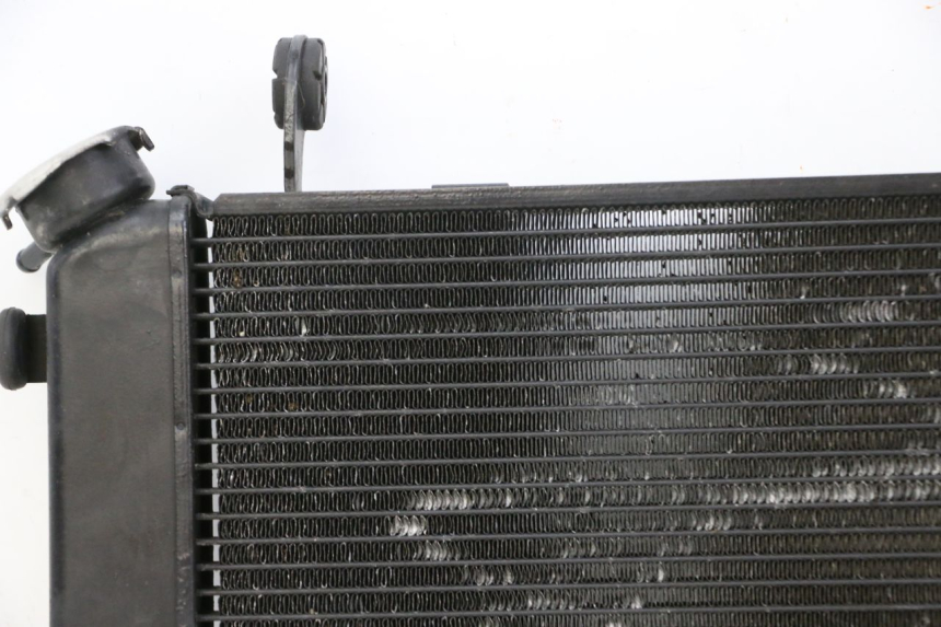 photo de RADIATORE SUZUKI GSR 750 (2011 - 2017)