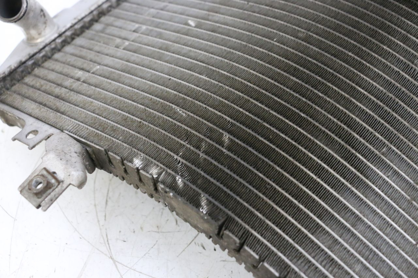 photo de RADIATORE SUZUKI GSXR GSX-R 1000 (2003 - 2004) - Vista d'insieme del prodotto