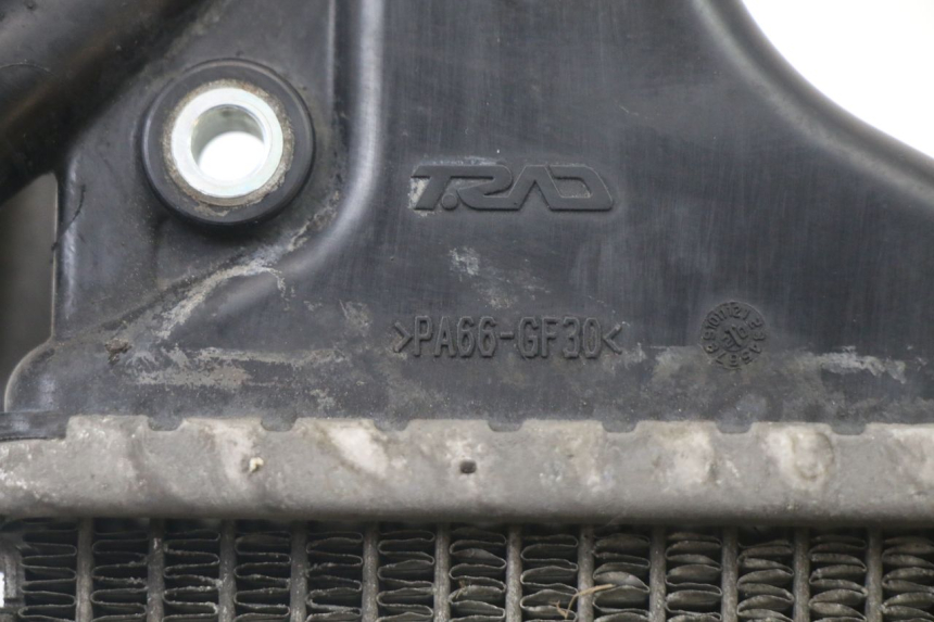 photo de RADIATORE HONDA FORZA 125 (2021 - 2025)