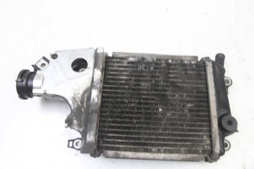 photo de RADIATORE HONDA FORZA 125 (2021 - 2025)