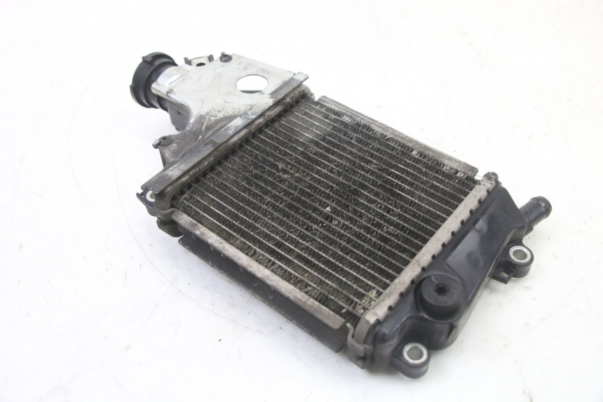 photo de RADIATORE HONDA FORZA 125 (2021 - 2025)