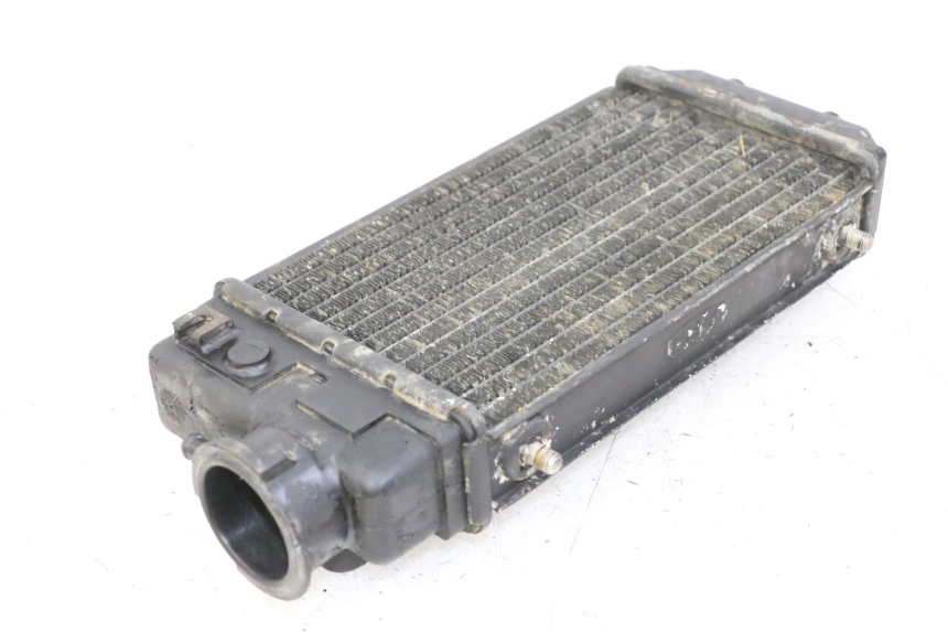 photo de RADIATORE HONDA MTX TC02 125 (1987 - 1989)