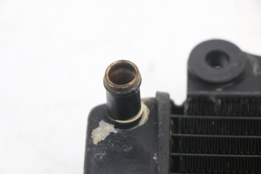 photo de RADIATORE HONDA NES AROBASE 125 (2000 - 2003)