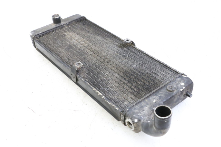 photo de RADIATORE HONDA VT C2 SHADOW 750 (1997 - 2001)
