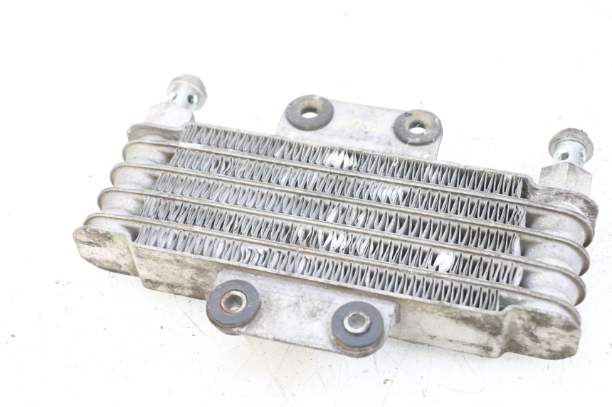 photo de RADIATORE OLIO HYOSUNG GV AQUILA 125 (2000 - 2004)