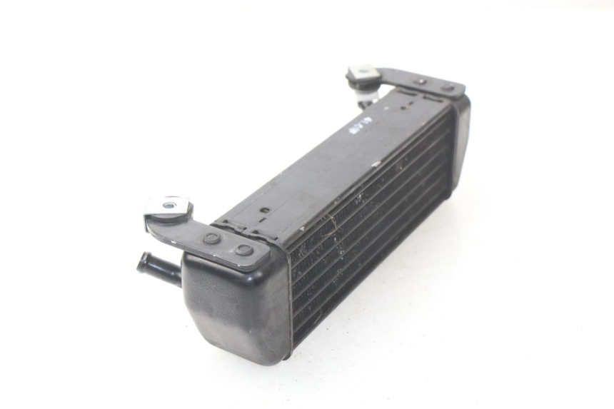 photo de RADIATORE OLIO BMW R GS 1150 (1999 - 2004)