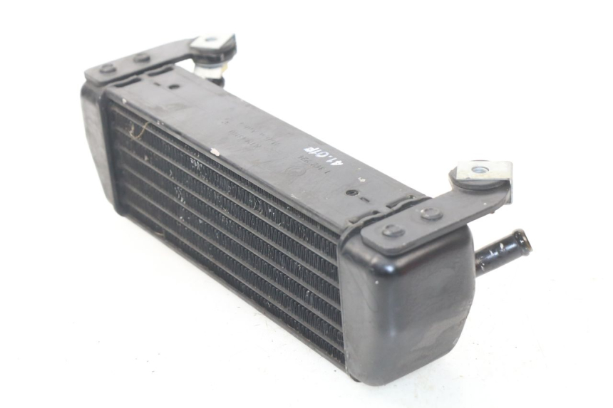 photo de RADIATORE OLIO BMW R GS 1150 (1999 - 2004)