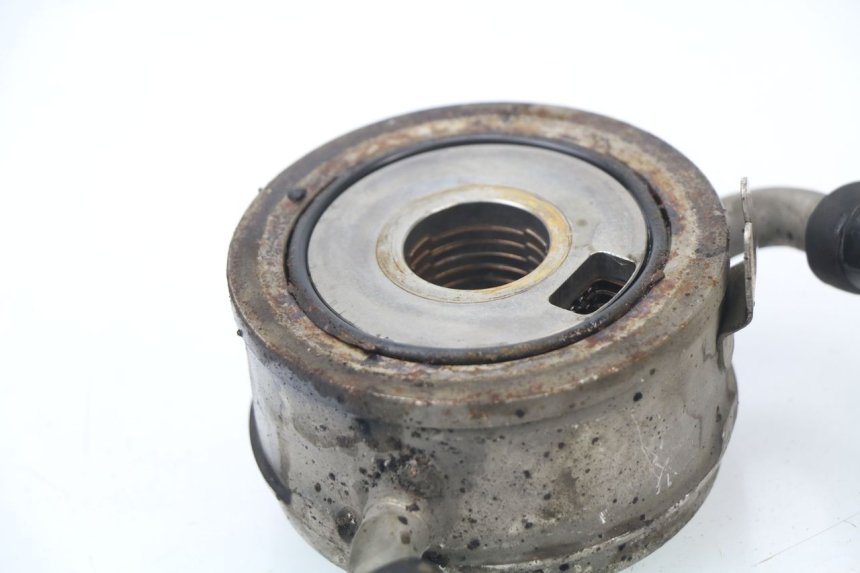 photo de RADIATORE OLIO HONDA CBR 929 RR FIREBLADE 900 (2000 - 2001) - Zoom sullo stato d'uso