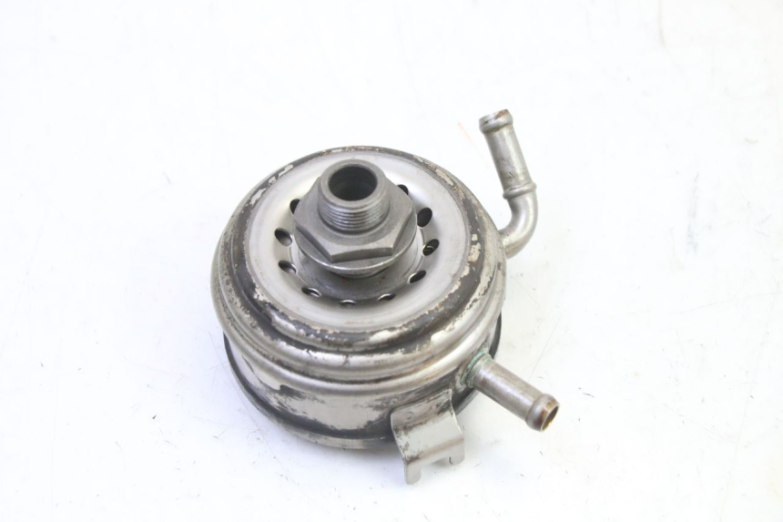 photo de RADIATORE OLIO HONDA CBR RR FIREBLADE 900 (1992 - 1994)