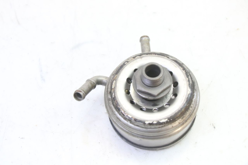 photo de RADIATORE OLIO HONDA CBR RR FIREBLADE 900 (1992 - 1994)