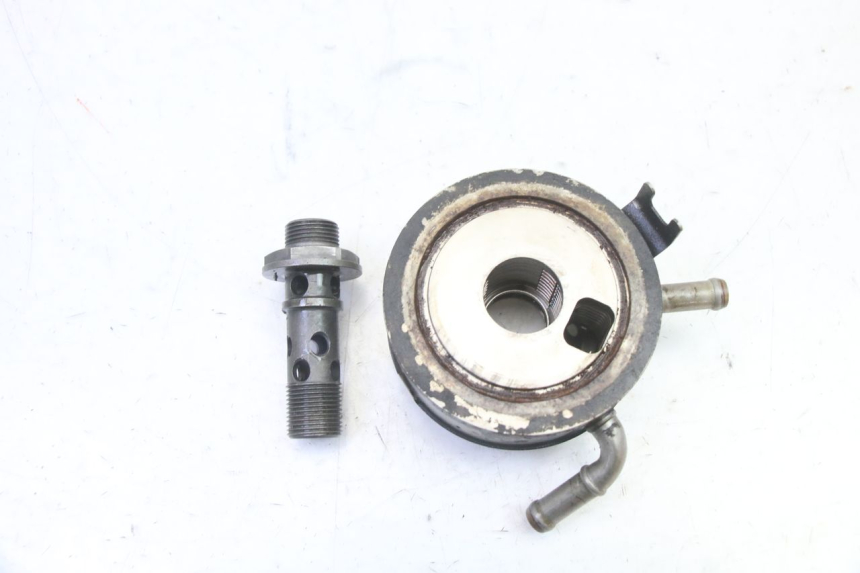photo de RADIATORE OLIO HONDA CBR RR FIREBLADE 900 (1992 - 1994)