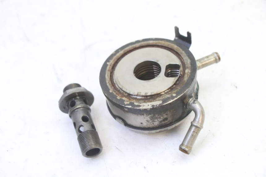 photo de RADIATORE OLIO HONDA CBR RR FIREBLADE 900 (1992 - 1994)