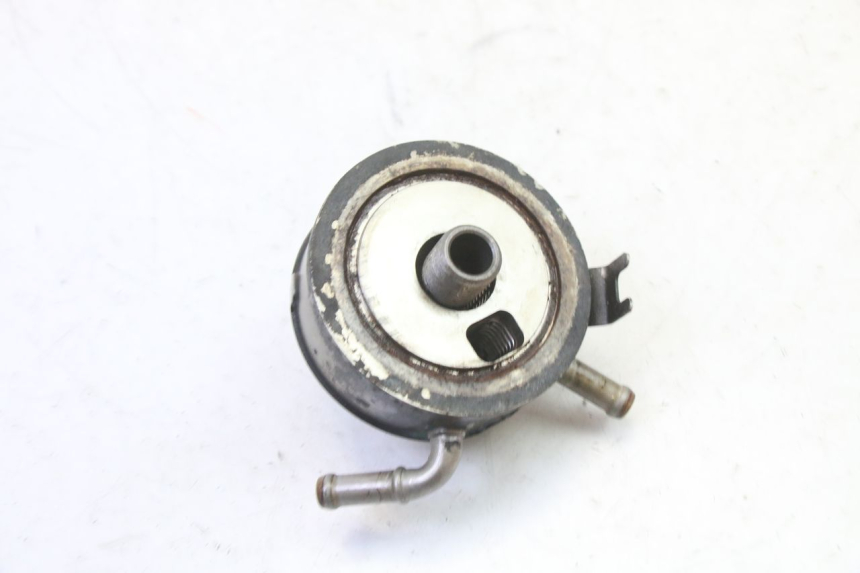 photo de RADIATORE OLIO HONDA CBR RR FIREBLADE 900 (1992 - 1994)