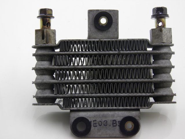 photo de RADIATORE OLIO DAELIM S2 125 (2008)