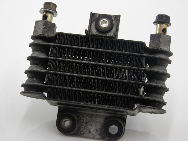 photo de RADIATORE OLIO DAELIM S2 125 (2008)