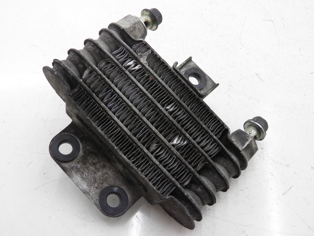 photo de RADIATORE OLIO DAELIM S2 FI 125 (2008 - 2017)