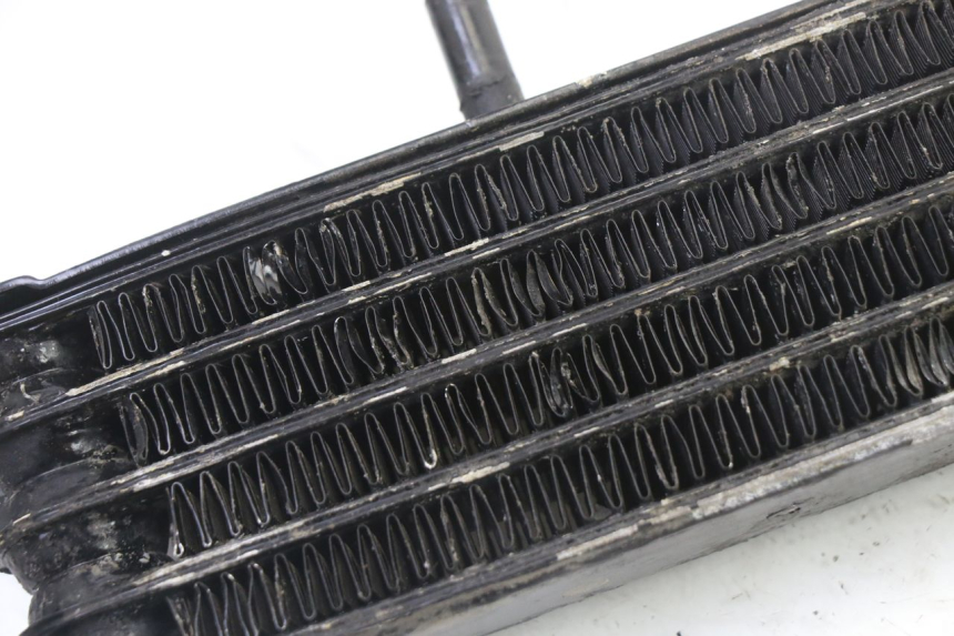 photo de RADIATORE OLIO YAMAHA FJ 36Y 1100 (1984 - 1985)