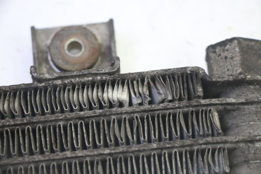 photo de RADIATORE OLIO DAELIM HISTORY 125 (2001 - 2002)