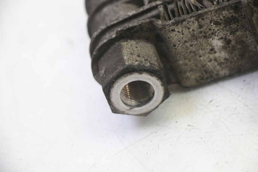 photo de RADIATORE OLIO DAELIM HISTORY 125 (2001 - 2002)