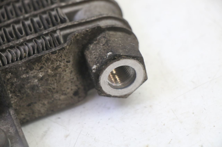 photo de RADIATORE OLIO DAELIM HISTORY 125 (2001 - 2002)