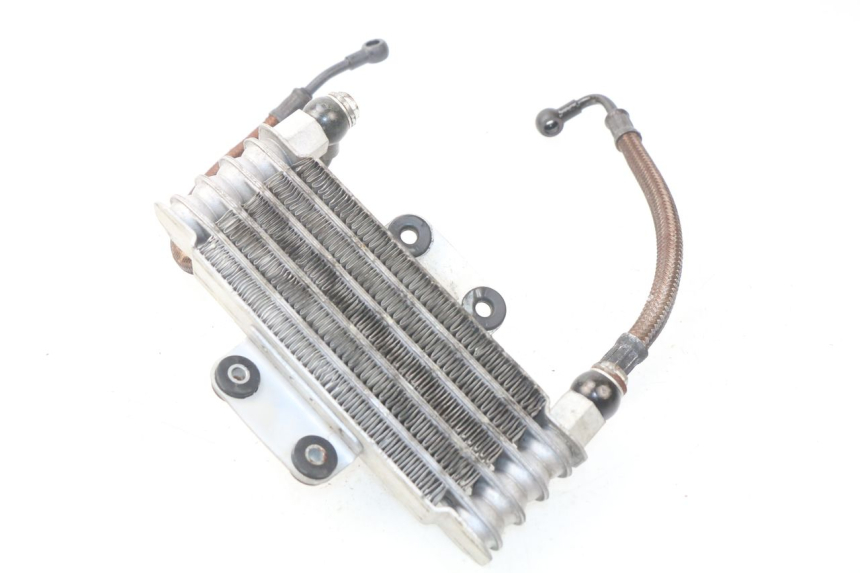 photo de RADIATORE OLIO HYOSUNG AQUILA GV 125 (2009 - 2016)