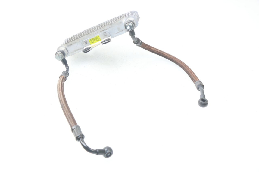 photo de RADIATORE OLIO HYOSUNG AQUILA GV 125 (2009 - 2016)