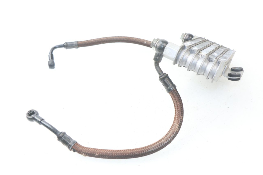 photo de RADIATORE OLIO HYOSUNG AQUILA GV 125 (2009 - 2016)