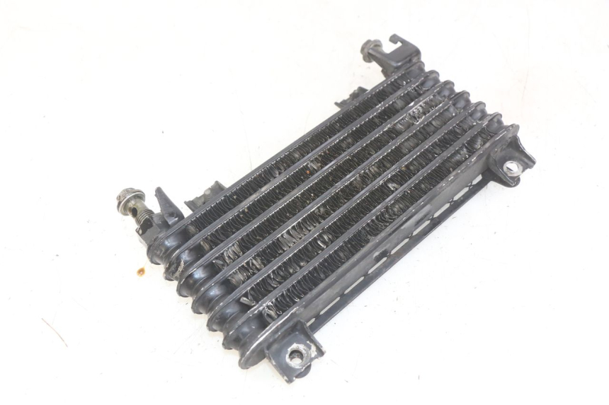 photo de RADIATORE OLIO KAWASAKI ZX-6R ZX6R 600 (1995 - 1997)