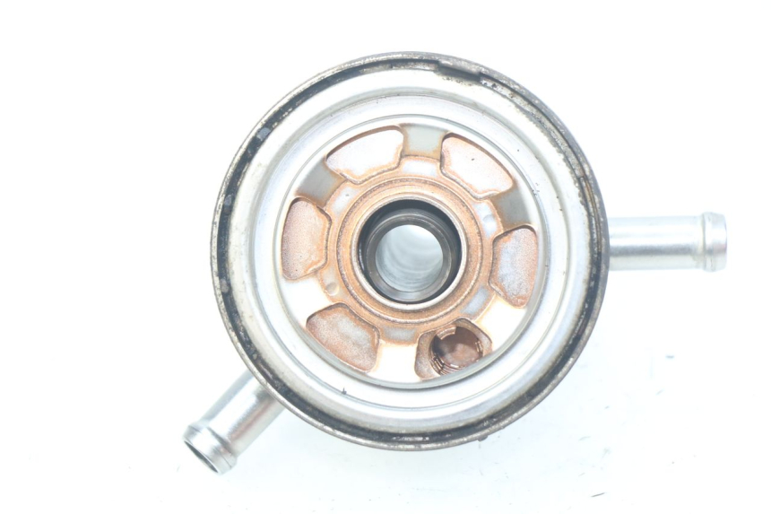 photo de RADIATORE OLIO YAMAHA MT-07 MT07 ABS 700 (2014 - 2017)