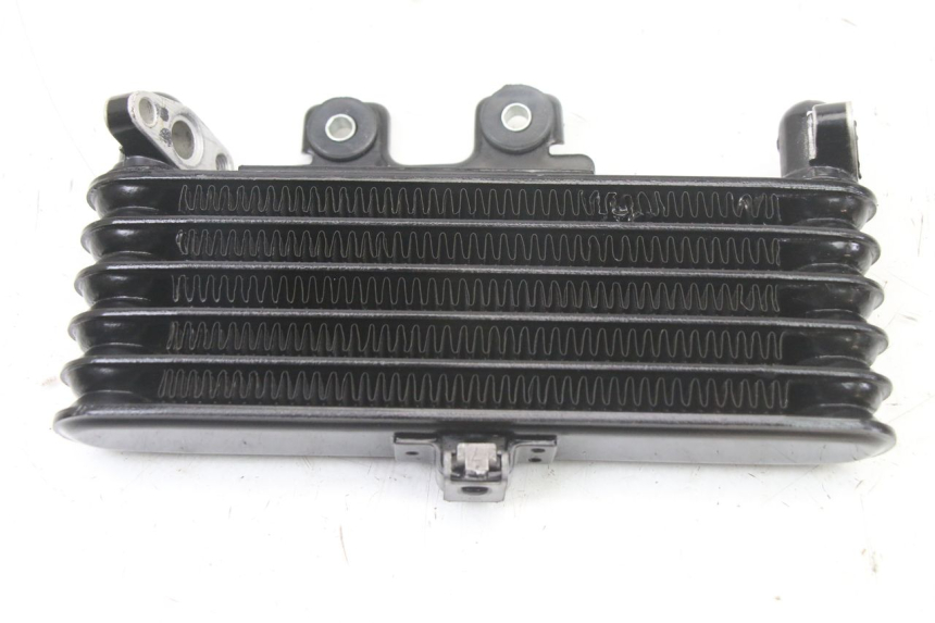 photo de RADIATORE OLIO ROYAL ENFIELD HYMALAYAN 410 (2016 - 2023)