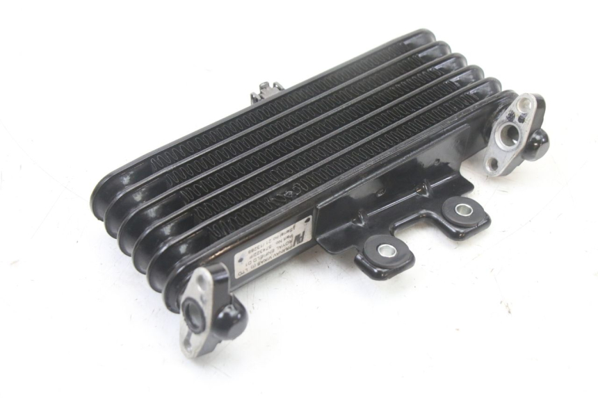 photo de RADIATORE OLIO ROYAL ENFIELD HYMALAYAN 410 (2016 - 2023)