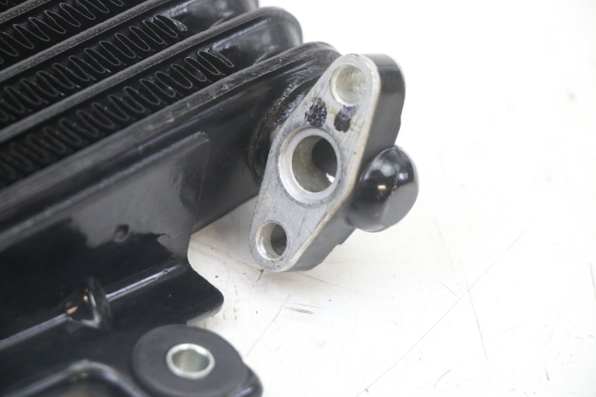 photo de RADIATORE OLIO ROYAL ENFIELD HYMALAYAN 410 (2016 - 2023)