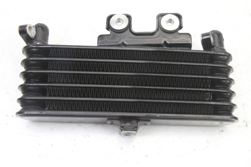 photo de RADIATORE OLIO ROYAL ENFIELD HYMALAYAN 410 (2016 - 2023)