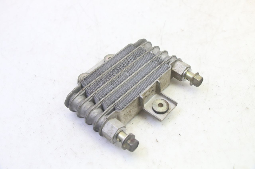 photo de RADIATORE OLIO DAELIM S1 125 (2007 - 2016) - Dettaglio del componente