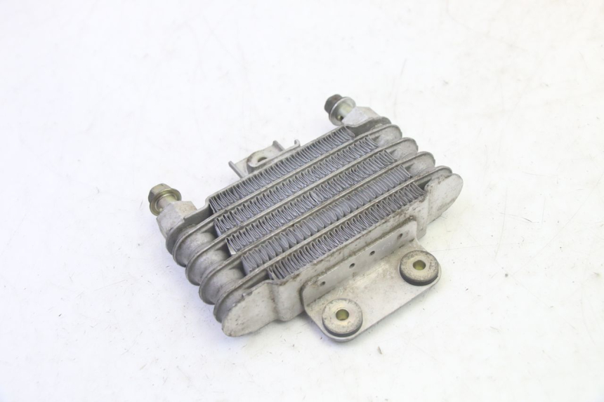 photo de RADIATORE OLIO DAELIM S1 125 (2007 - 2016) - Zoom sullo stato d'uso