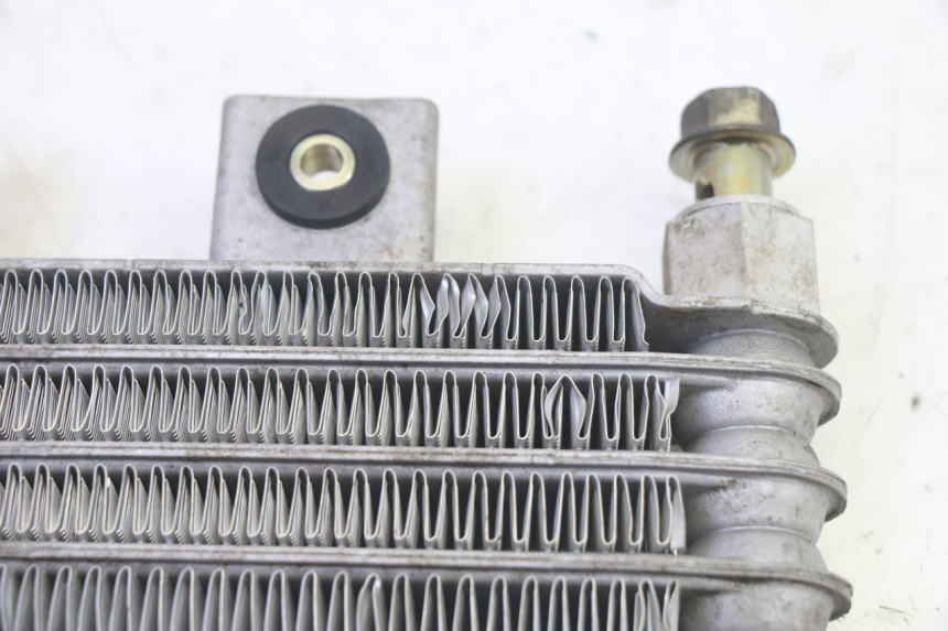 photo de RADIATORE OLIO DAELIM S1 125 (2007 - 2016) - Vista d'insieme del prodotto