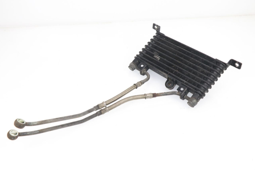 photo de RADIATORE OLIO TRIUMPH SPRINT RS 955 (2000 - 2001)