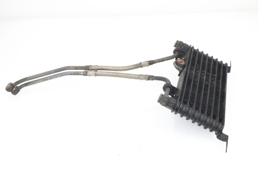photo de RADIATORE OLIO TRIUMPH SPRINT RS 955 (2000 - 2001)