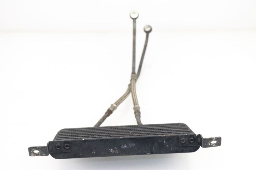 photo de RADIATORE OLIO TRIUMPH SPRINT RS 955 (2000 - 2001)