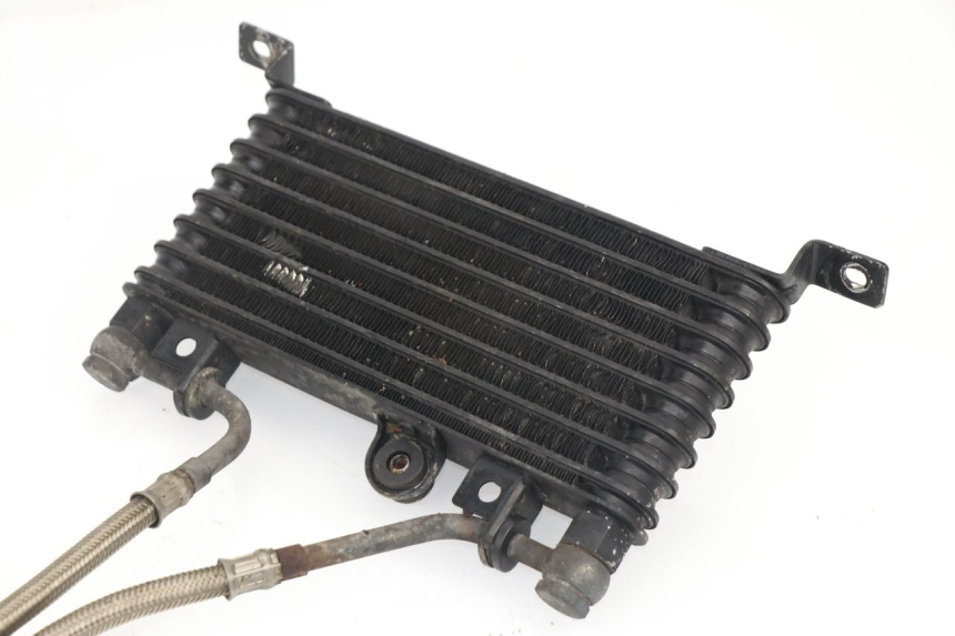 photo de RADIATORE OLIO TRIUMPH SPRINT RS 955 (2000 - 2001)